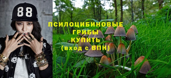 меф Арсеньев