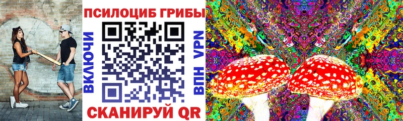 дарк нет наркотические препараты  закладки  Омутнинск  Псилоцибиновые грибы мухоморы 